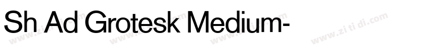 Sh Ad Grotesk Medium字体转换